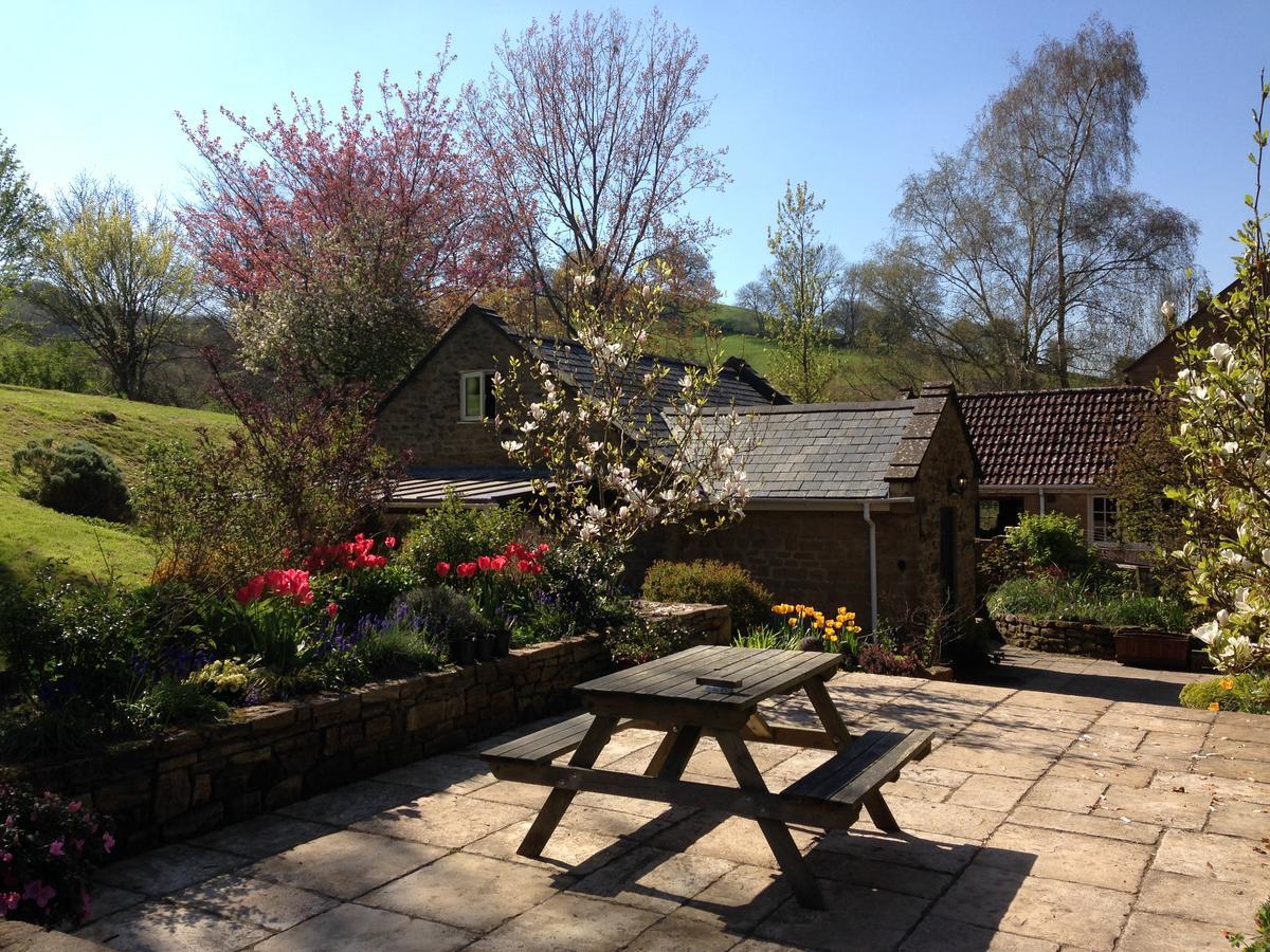 Bagnell Cottage Chiselborough Exteriér fotografie