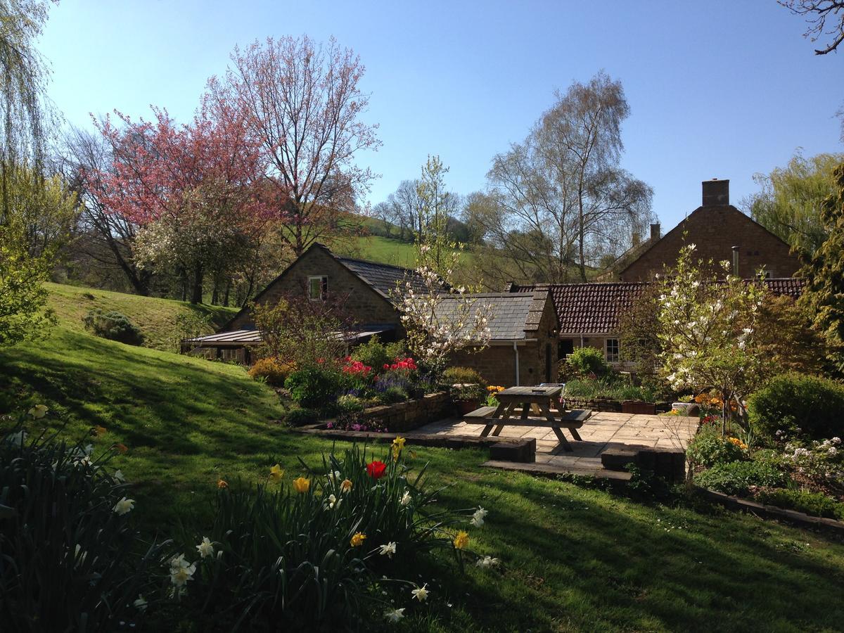 Bagnell Cottage Chiselborough Exteriér fotografie