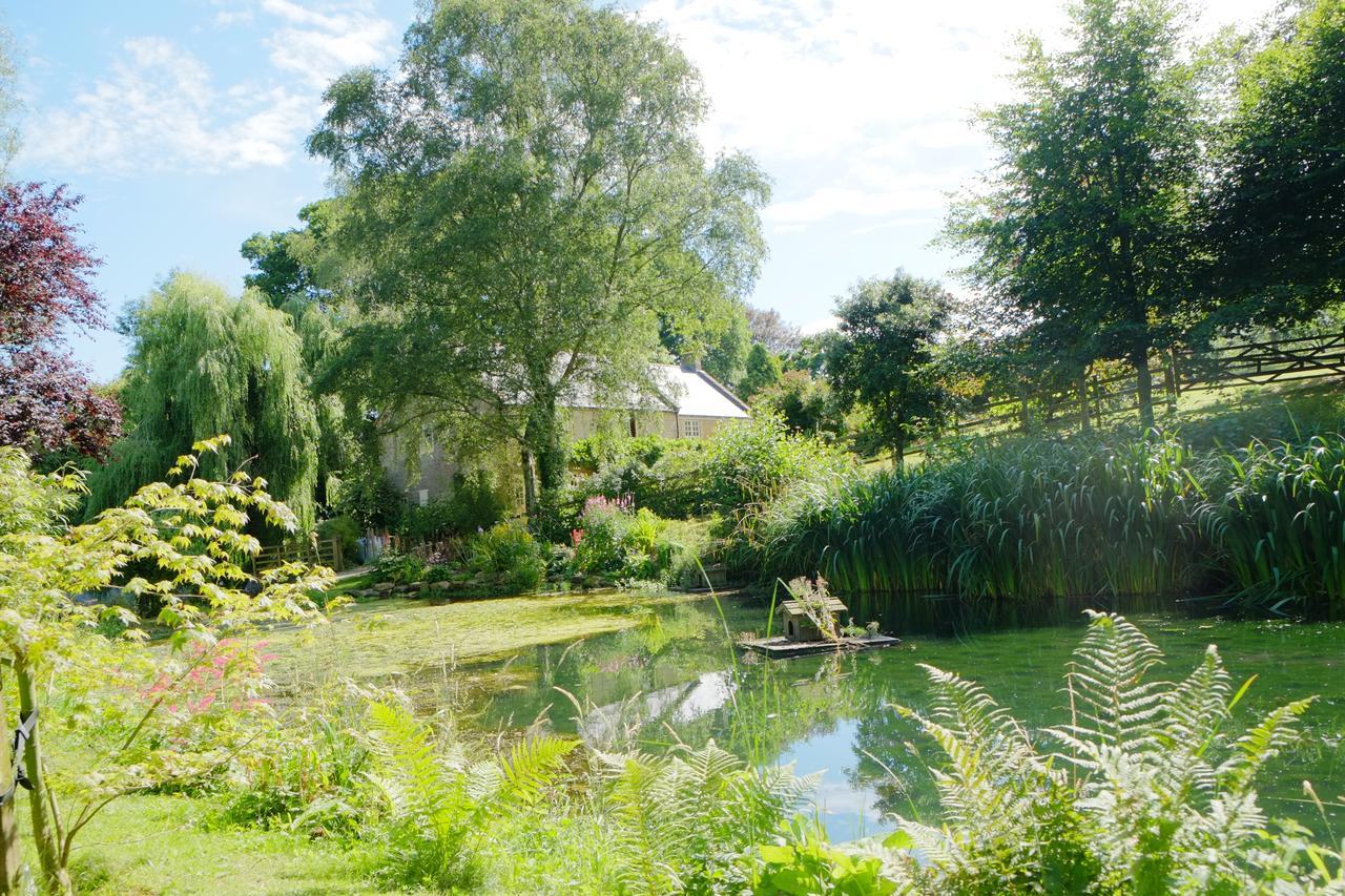 Bagnell Cottage Chiselborough Exteriér fotografie