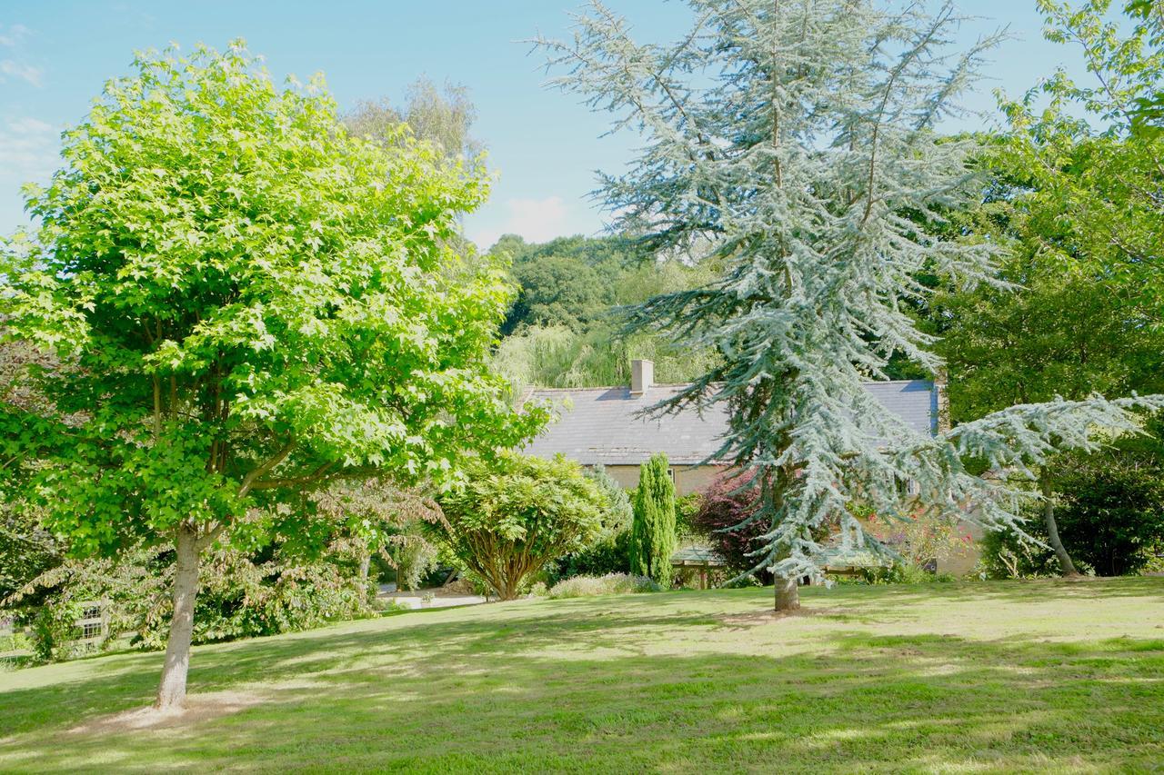 Bagnell Cottage Chiselborough Exteriér fotografie