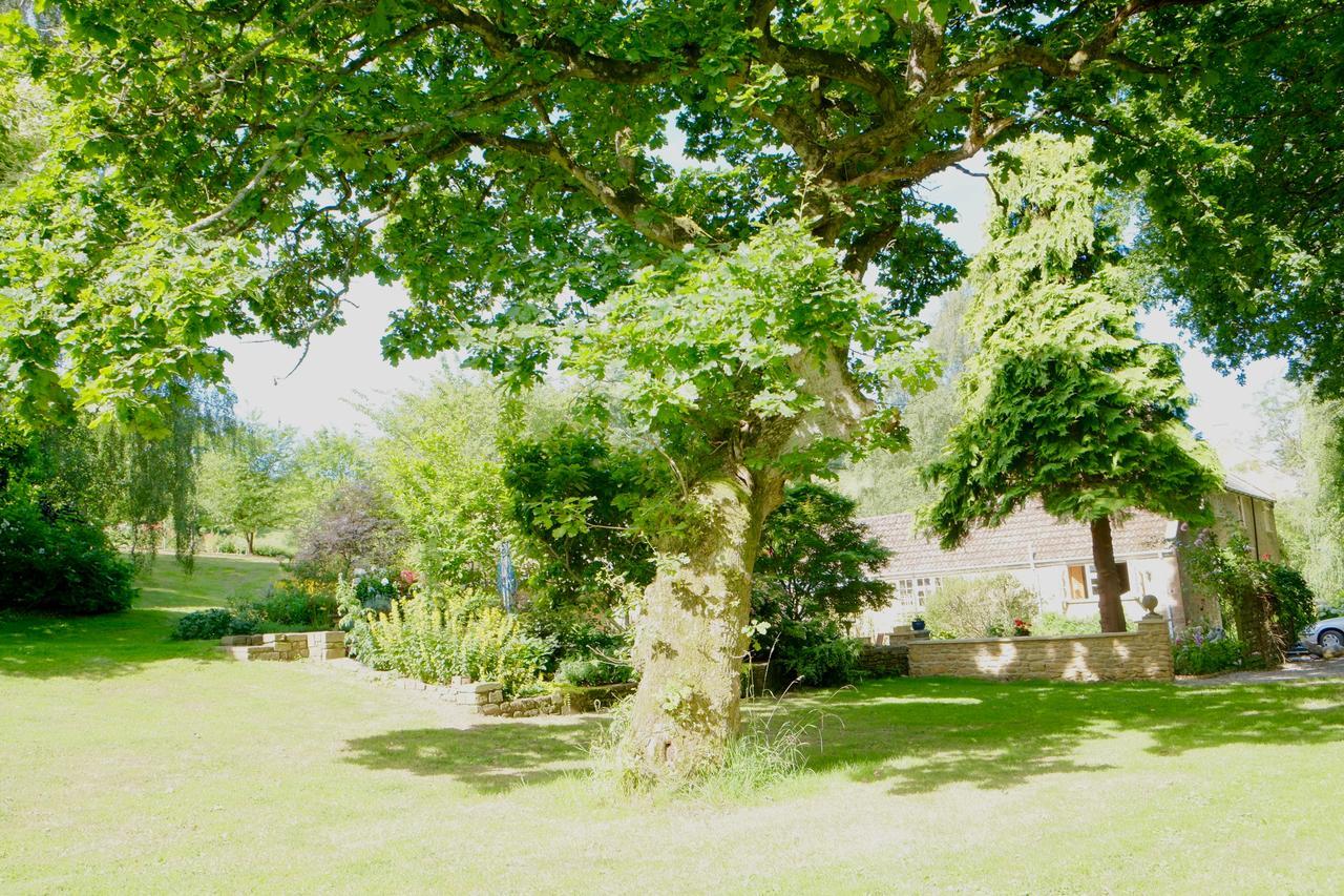 Bagnell Cottage Chiselborough Exteriér fotografie
